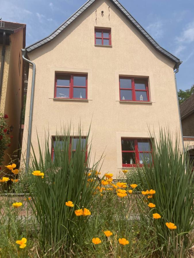 Radler Pension Wettin Buitenkant foto